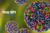 HPV: Nguy cơ, biến chứng và cách phòng ngừa ung thư cổ tử cung hiệu quả