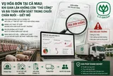 Vụ hóa đơn khống tại Cà Mau: Khi gian lận không còn nhỏ lẻ và lỗ hổng kiểm soát lộ rõ trong chuỗi chăn nuôi giết mổ