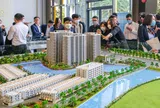Chuyên gia phong thủy gợi ý 7 điều để nhà đầu tư bất động sản hút tài lộc năm Giáp Thìn