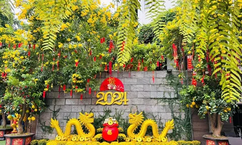 Đàm Vĩnh Hưng, Hà Hồ, Lệ Quyên, Tự Long... trang trí nhà cửa đón năm mới như thế nào?