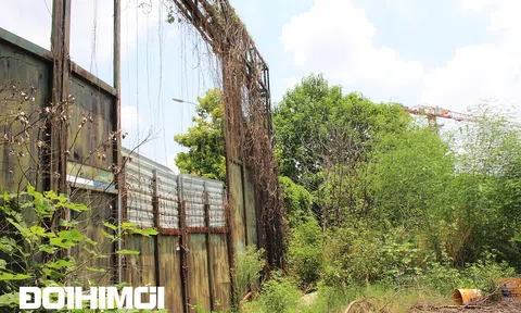 Hà Nội: 3 ô "đất vàng" tại KĐT Nam Trung Yên hóa rừng sau hơn thập kỷ bị Thùy Dương Group quây tôn bỏ không