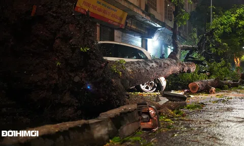  Hà Nội:  Xuyên đêm “giải cứu” loạt xe sang bị cây đè trúng sau mưa lớn