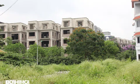 Hà Nội: Sau "sốt" đất đấu giá Hoài Đức, liền kề và biệt thự xung quanh tăng giá