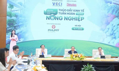 Chuyển đổi sang Nông nghiệp Tuần hoàn: Con đường tất yếu cho Tăng trưởng Xanh của Việt Nam