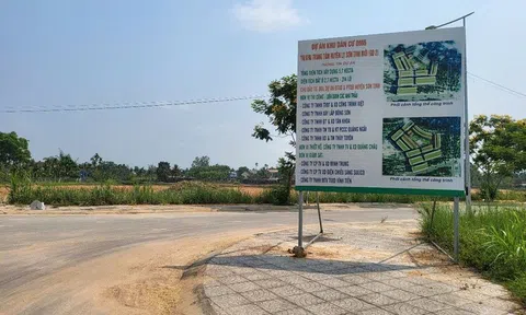 Quảng Ngãi: Khẩn trương chuẩn bị tái định cư cho tuyến đường sắt tốc độ cao Bắc - Nam
