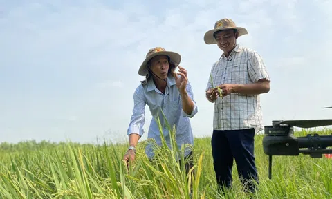 Xuất khẩu nông, lâm, thủy sản vượt kỳ vọng