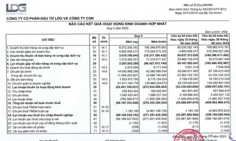 LDG chưa thể tất toán trái phiếu 2023: Gánh nặng nợ nần và khó khăn thanh khoản
