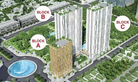 Sài Gòn Phú Minh trả 31 tỷ lãi trái phiếu, hé lộ liên kết Kiến Á
