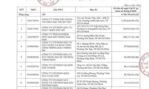 Công ty Thuận Việt nợ thuế hơn 3.200 tỷ đồng – Dự án New City Thủ Thiêm vẫn “mắc kẹt” sổ hồng