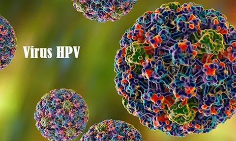 HPV: Nguy cơ, biến chứng và cách phòng ngừa ung thư cổ tử cung hiệu quả