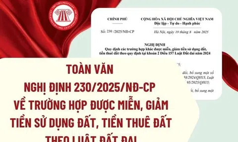 Chính phủ ban hành Nghị định 230/2025/NĐ-CP: Miễn, giảm tiền sử dụng đất, tiền thuê đất trong năm 2025