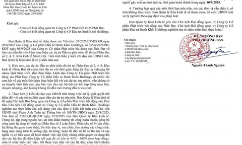 Dự án Nhơn Hội New City: Lộ rõ hạn chế trong năng lực triển khai của chủ đầu tư