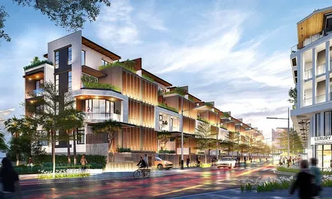 Nam Land bị xử phạt: Cảnh báo về minh bạch thông tin và rủi ro quản trị