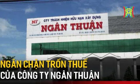 Nợ thuế gần 635 tỷ đồng: Cảnh báo về quản trị tài chính tại Xây dựng Ngân Thuận