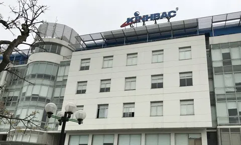 Kinh Bắc “rút nhanh” khỏi giáo dục, dồn lực cho bất động sản Đồng Tháp