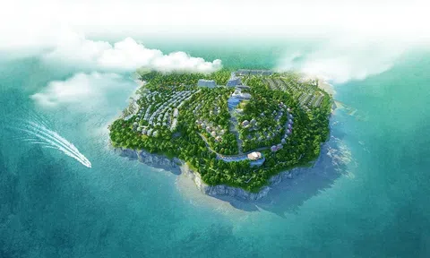 Dự án Đồi Hòn Rơm: Giao đất “lệch pha” chỉ đạo Chính phủ, nguy cơ thất thoát ngân sách