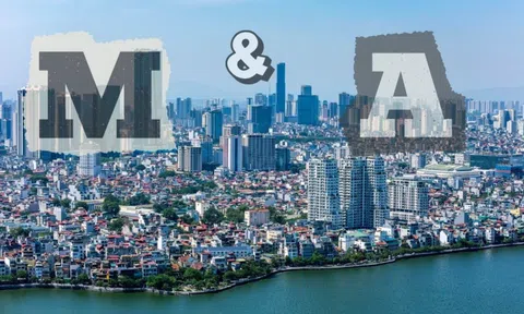 M&A bất động sản 2026: JLL dự báo thị trường chọn lọc, ưu tiên pháp lý và chất lượng dự án