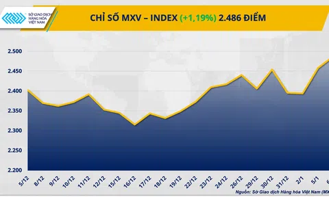 MXV-Index lập đỉnh 3 năm, giá cà phê tăng vọt vì thời tiết Brazil, dầu mỏ giảm sâu do áp lực nguồn cung