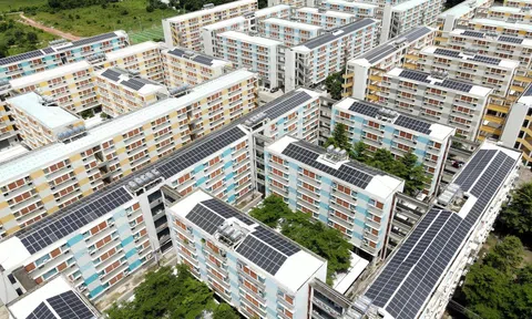 Đồng Nai chấn chỉnh quy trình tiếp nhận hồ sơ nhà ở xã hội, ngăn ngừa tiêu cực