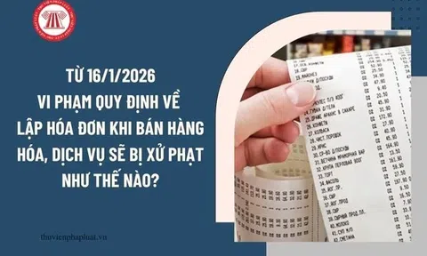 Hóa đơn điện tử dần thành thói quen: Hộ kinh doanh cần lưu ý thời điểm lập hóa đơn, tránh bị phạt từ 16/1