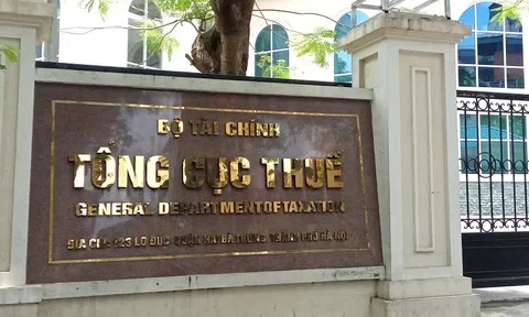 Cơ quan thuế khẳng định không truy thu hồi tố khi hộ kinh doanh chuyển từ thuế khoán sang kê khai