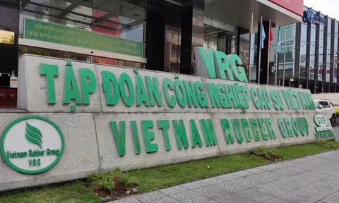 Tập đoàn Công nghiệp Cao su Việt Nam lợi nhuận quý 4/2025 lao dốc vì chi phí nhưng Cổ phiếu GVR lập đỉnh lịch sử