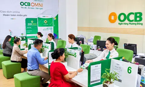 Kim Oanh Group công bố tham vọng xây 40.000 căn nhà ở xã hội Năng lực tài chính ra sao?