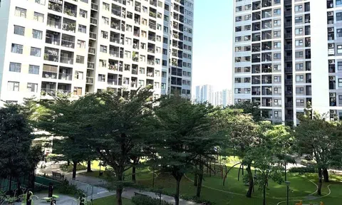 Thủ tướng Phạm Minh Chính yêu cầu nghiên cứu chính sách nhà ở cho người thu nhập trên 20 triệu đồng/tháng