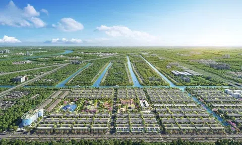 Tandoland “gánh” đòn bẩy cao: Áp lực tài chính dồn vào dự án Dragon Eden