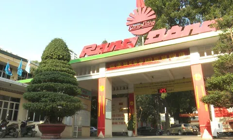 Rạng Đông (RAL) báo lãi giảm sâu năm 2025: Áp lực hàng ngoại, thuế và thiên tai bủa vây doanh nghiệp chiếu sáng Việt Nam