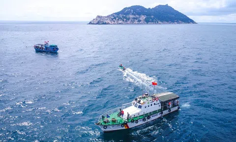 Triển khai eCDT chống khai thác IUU: Tỷ lệ còn thấp, Bộ yêu cầu địa phương hành động quyết liệt