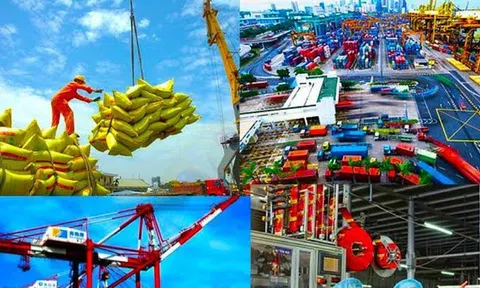 GDP Việt Nam quý I/2026 tăng 7,83%: Công nghiệp chế biến và dịch vụ dẫn dắt tăng trưởng kinh tế