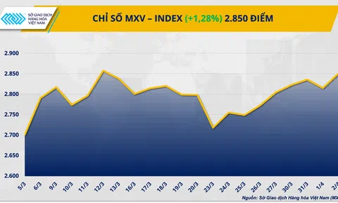 Thị trường hàng hóa thế giới rung lắc mạnh: Giá dầu bật tăng, kim loại quý chịu áp lực tại Việt Nam và toàn cầu