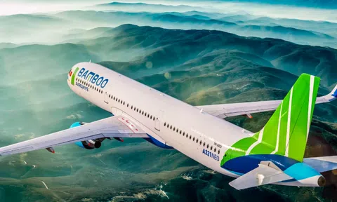 Sacombank thu giữ hơn 8,6 ha đất tại Gia Lai liên quan nợ xấu của Bamboo Airways