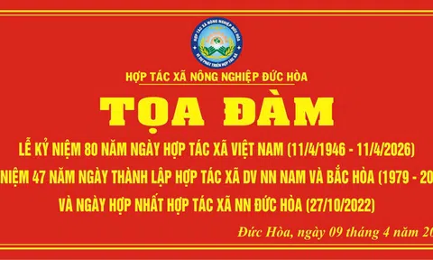 Đức Hòa (Quảng Ngãi): 80 năm kinh tế hợp tác và hành trình chuyển mình của HTX nông nghiệp