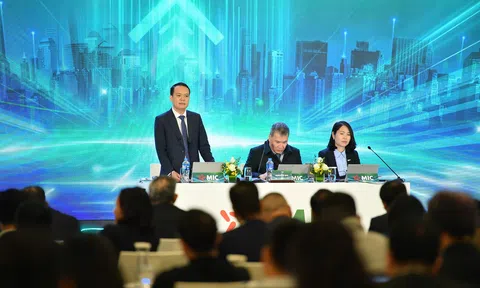 MIC thay đổi nhân sự cấp cao: Bà Vũ Thái Huyền rời HĐQT, đã giải ngân gần 384 tỷ đồng từ đợt tăng vốn 2019