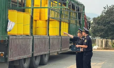 Cải cách thủ tục hải quan 2026: Bộ Tài chính sửa đổi 4 thủ tục, giảm giấy tờ, rút ngắn thời gian xử lý