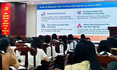 Quảng Ngãi tập huấn phân tích rủi ro hóa đơn: Tăng “lá chắn” chống gian lận trong quản lý thuế