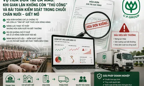 Vụ hóa đơn khống tại Cà Mau: Khi gian lận không còn nhỏ lẻ và lỗ hổng kiểm soát lộ rõ trong chuỗi chăn nuôi giết mổ