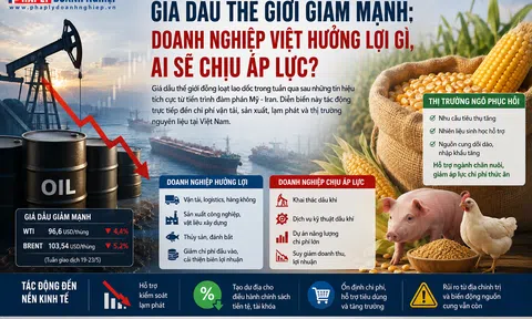 Giá dầu thế giới giảm mạnh: Doanh nghiệp Việt hưởng lợi gì, ai sẽ chịu áp lực?