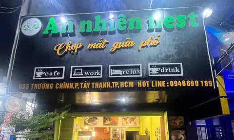 An Nhiên Nest: Quán cà phê chữa lành và phòng tranh nhân ái của bác sĩ ung bướu