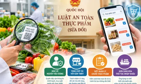 Sửa Luật An toàn thực phẩm: Đề xuất tăng chế tài với chủ sàn thương mại điện tử