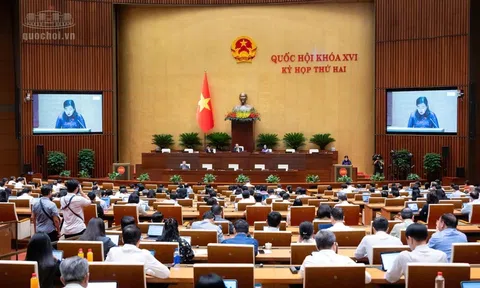 Sửa Luật An toàn thực phẩm: Chất lượng luật được đo bằng hiệu quả bảo vệ người dân