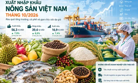 Xuất nhập khẩu nông sản Việt Nam tháng 10/2026: Rau quả tăng trưởng, cà phê và gạo chịu sức ép giá
