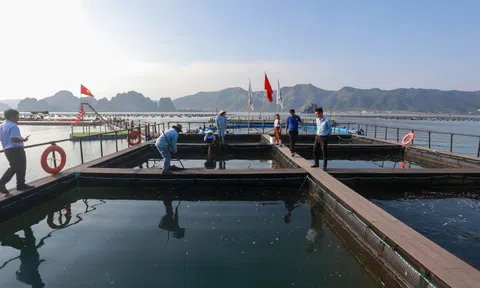 Chính sách sát thực tiễn để thu hút đầu tư vào nông nghiệp
