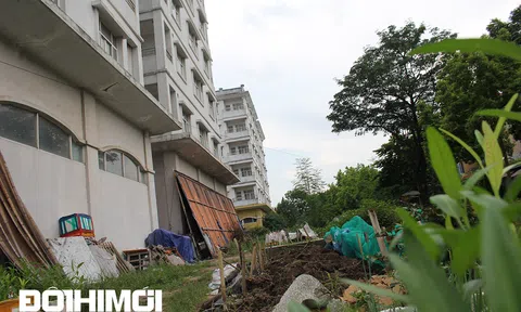 Khu tái định cư hơn nghìn tỷ đồng ở Hà Nội hoang tàn, thành nơi trồng rau