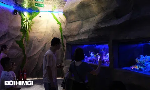 Độc đáo với thủy cung không nước đầu tiên ở Việt Nam