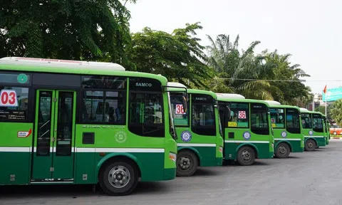 TP HCM: Đưa vào sử dụng hàng trăm xe buýt đời mới