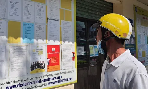 Hà Nội: Xây dựng cơ sở dữ liệu việc làm