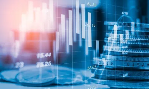 Việt Nam đứng thứ hai thế giới về tỷ lệ sở hữu tiền số